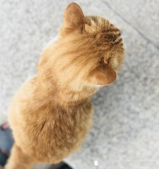 北京|北京有个寓教于乐的地方，拥有弥足珍贵文章手稿，并被称为萌园！