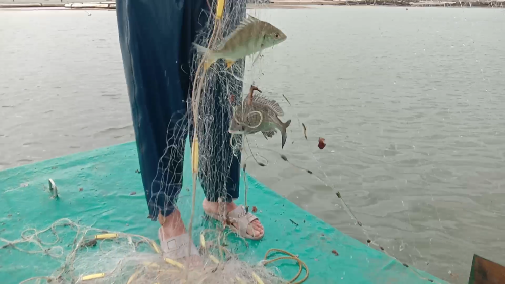 渔民捕鱼要什么成本为什么海鲜那么贵年轻人还是不喜欢做渔民