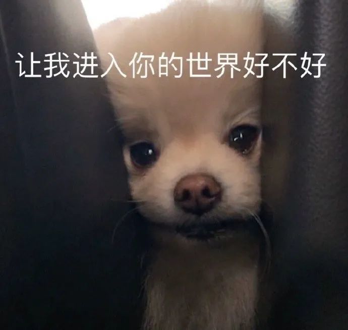 郭敬明|郭敬明李诚儒battle你站谁？