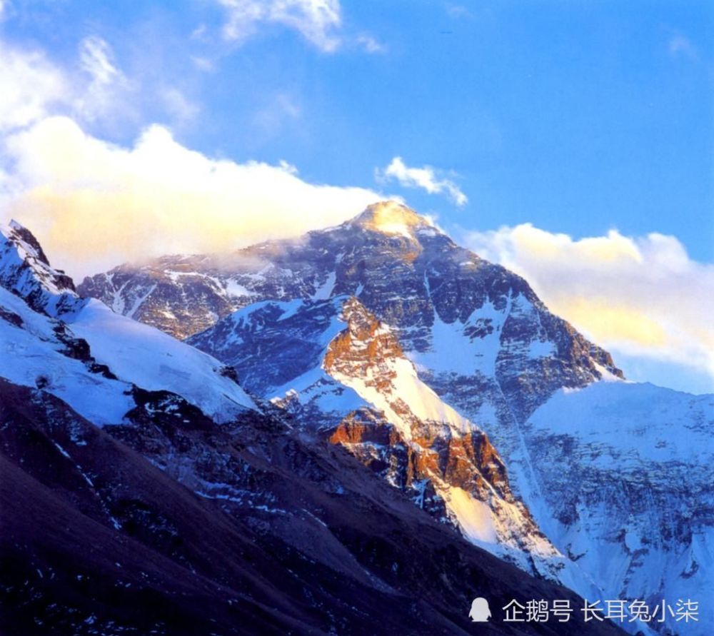 珠穆朗玛峰|南极升温，珠峰之上长出耐寒性较弱草本植物，地球或许已经在警醒人类