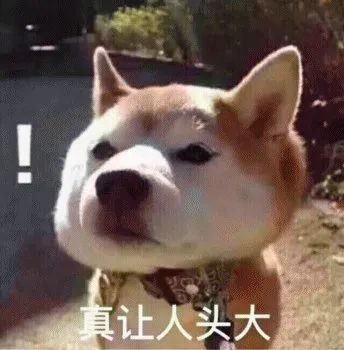 朱一龙|明星们的婚恋保密档案，究竟要怎么做才能万无一失？