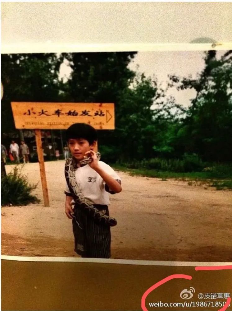 朱一龙|明星们的婚恋保密档案，究竟要怎么做才能万无一失？