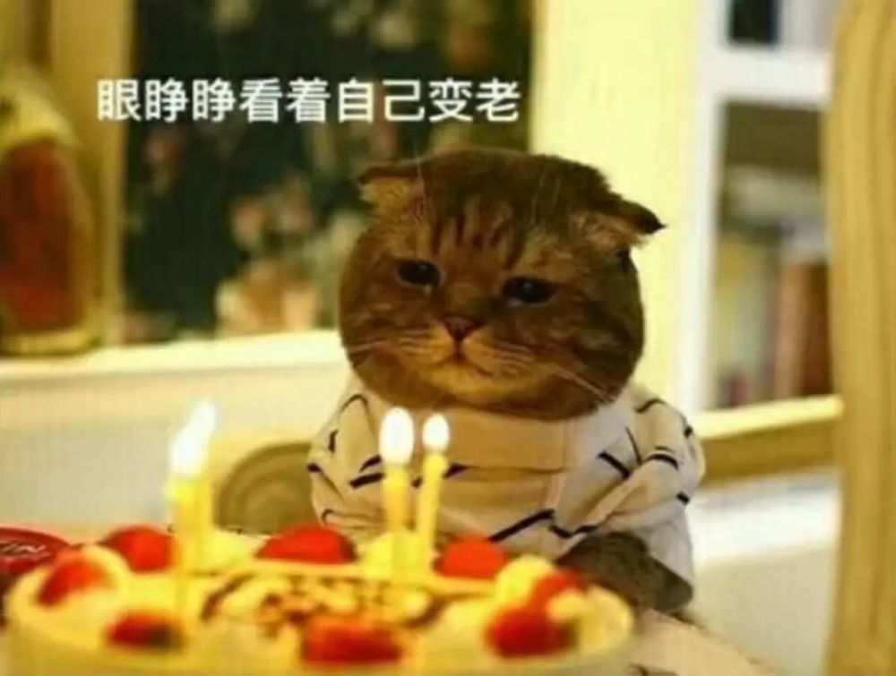 半藏森林|当44岁的赵薇搞起茶艺，半藏森林被秒得渣都不剩…