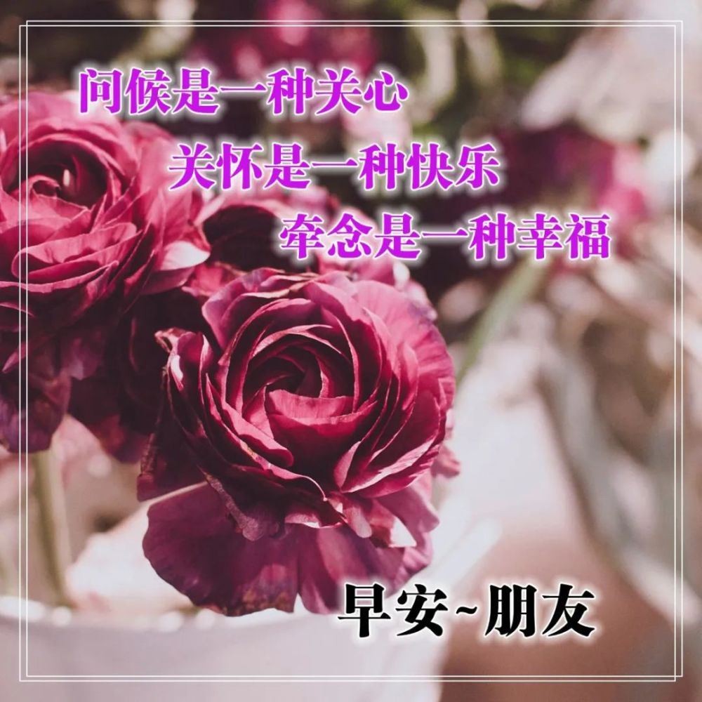 616清晨慰問朋友的早上好祝福句子早上好問候大家祝福語錄