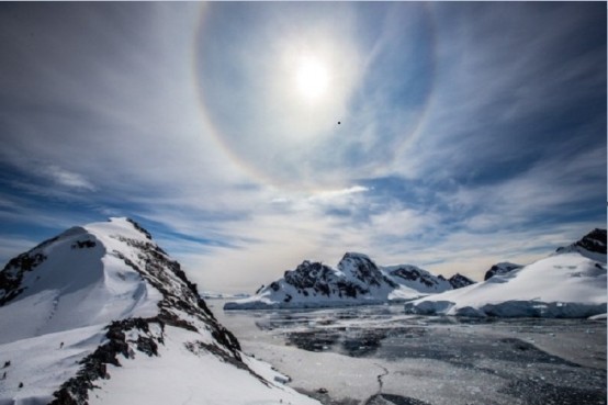 南极|4000万年前南极温暖如春？科学家发现蛙类化石，这里曾是暖温地带