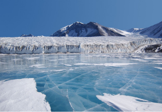 南极|4000万年前南极温暖如春？科学家发现蛙类化石，这里曾是暖温地带