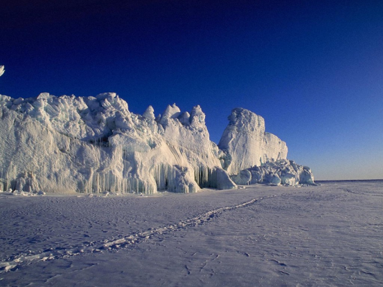 南极|4000万年前南极温暖如春？科学家发现蛙类化石，这里曾是暖温地带