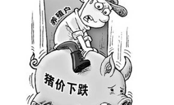 生猪价格|10月12日：猪价延续弱势，13省市已跌破15元大关，还跌吗？