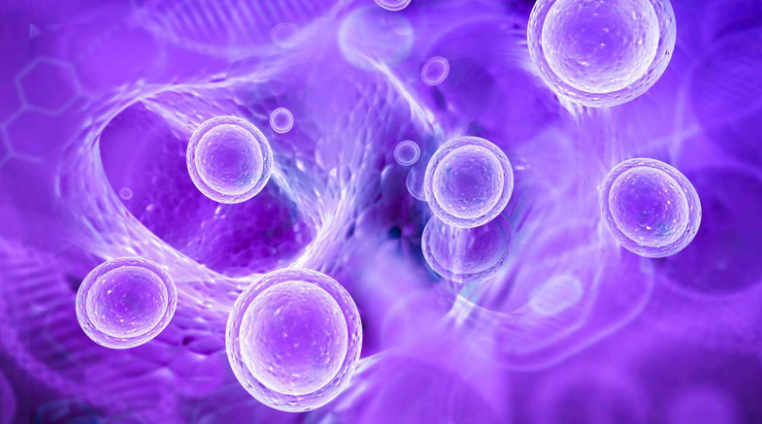 自身免疫性肝炎|三大作用机制，干细胞疗法对自身免疫性肝炎前景广阔！