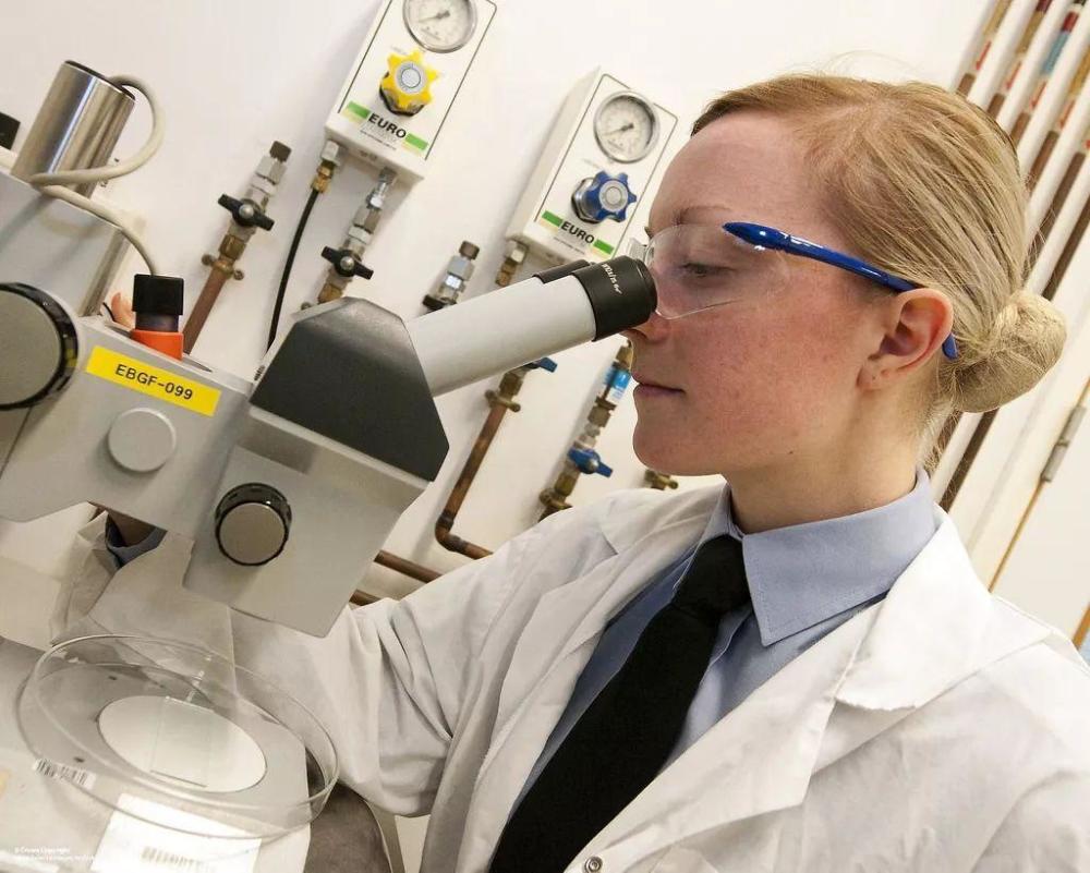 毛乌素沙漠|中国一沙漠8成变绿洲，老外直呼奇迹，但有谁注意到动物的变化