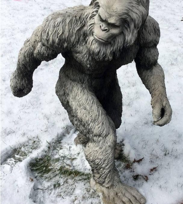 "雪人"现身喜马拉雅山,高智商攻击性强,是人类近亲变异物种?_腾讯新闻