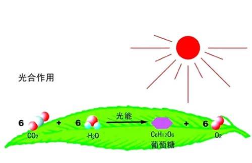 细菌|疯狂科学家为了永生，给自己注射350万年前的细菌，结果如何？