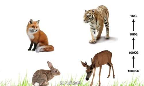 细菌|疯狂科学家为了永生，给自己注射350万年前的细菌，结果如何？