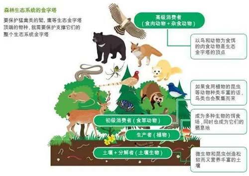 细菌|疯狂科学家为了永生，给自己注射350万年前的细菌，结果如何？