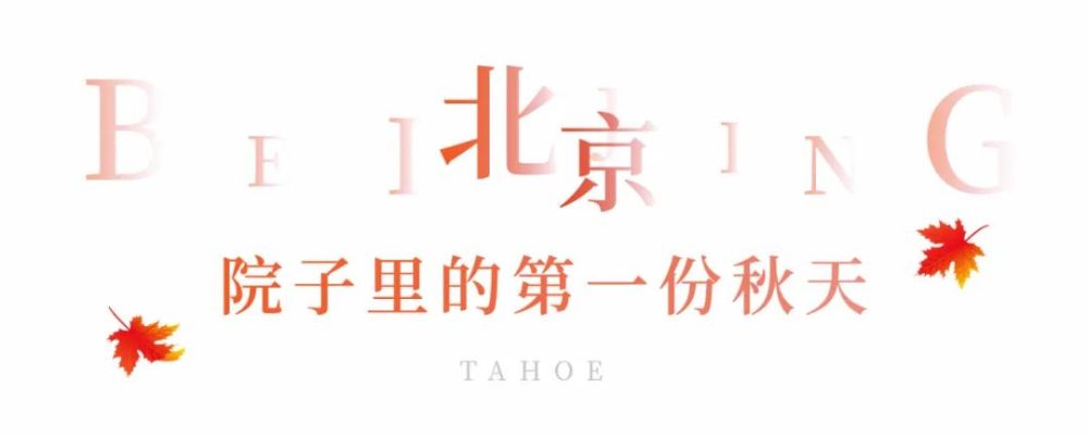 苏州|Hello，在吗？我想要院子里的第一份秋天