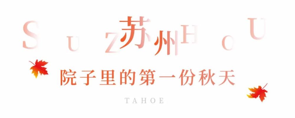 苏州|Hello，在吗？我想要院子里的第一份秋天