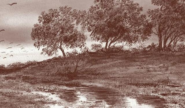 视觉中心|为什么树木总是这么难画？关键还是没有掌握疏密关系