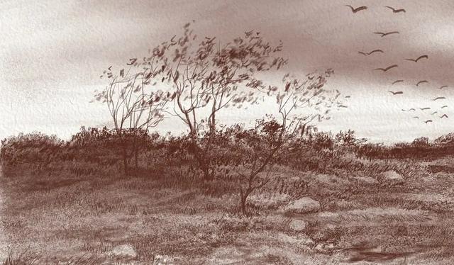 视觉中心|为什么树木总是这么难画？关键还是没有掌握疏密关系