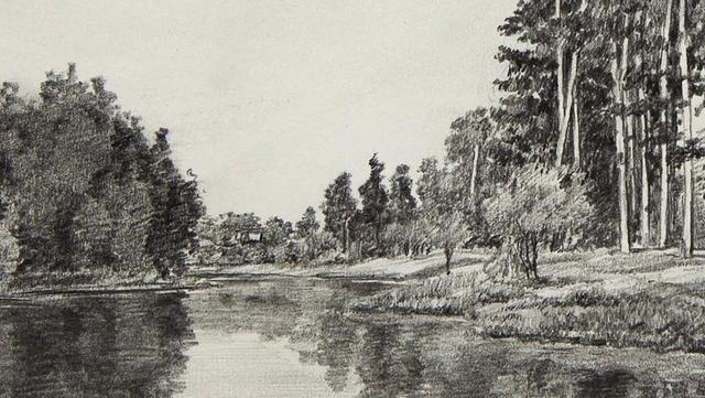 视觉中心|为什么树木总是这么难画？关键还是没有掌握疏密关系