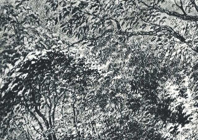 视觉中心|为什么树木总是这么难画？关键还是没有掌握疏密关系