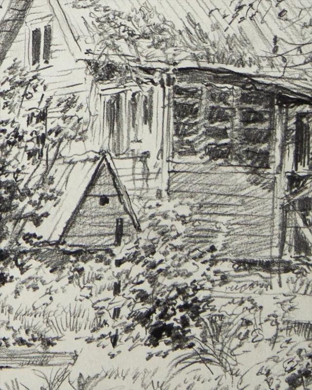 视觉中心|为什么树木总是这么难画？关键还是没有掌握疏密关系