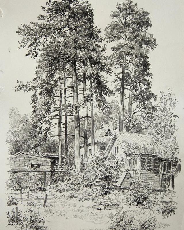 视觉中心|为什么树木总是这么难画？关键还是没有掌握疏密关系