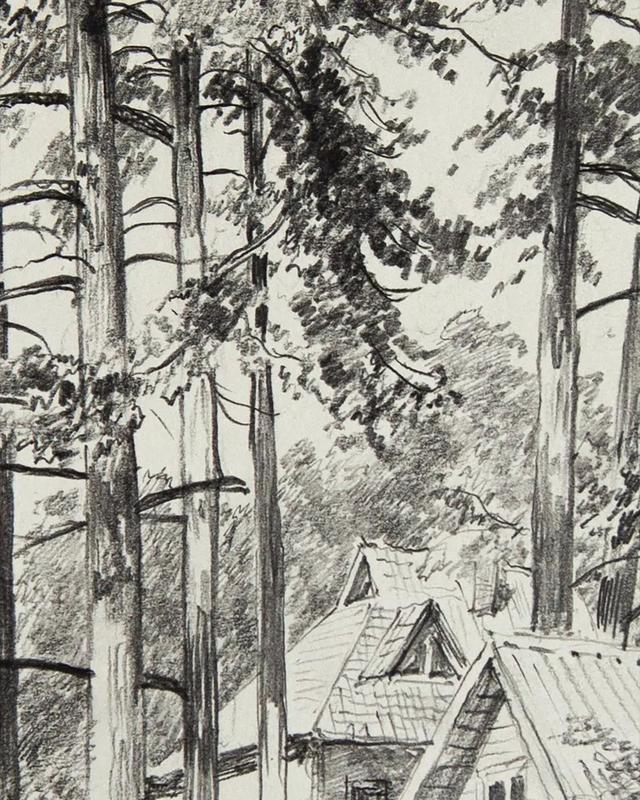 视觉中心|为什么树木总是这么难画？关键还是没有掌握疏密关系