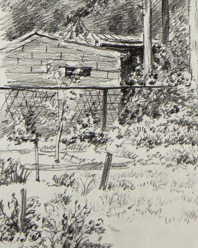 视觉中心|为什么树木总是这么难画？关键还是没有掌握疏密关系