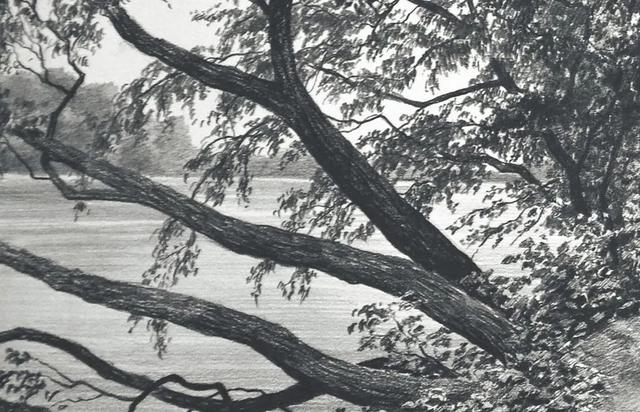 视觉中心|为什么树木总是这么难画？关键还是没有掌握疏密关系