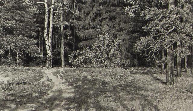 视觉中心|为什么树木总是这么难画？关键还是没有掌握疏密关系