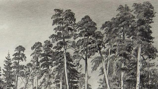 视觉中心|为什么树木总是这么难画？关键还是没有掌握疏密关系