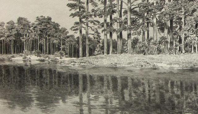 视觉中心|为什么树木总是这么难画？关键还是没有掌握疏密关系