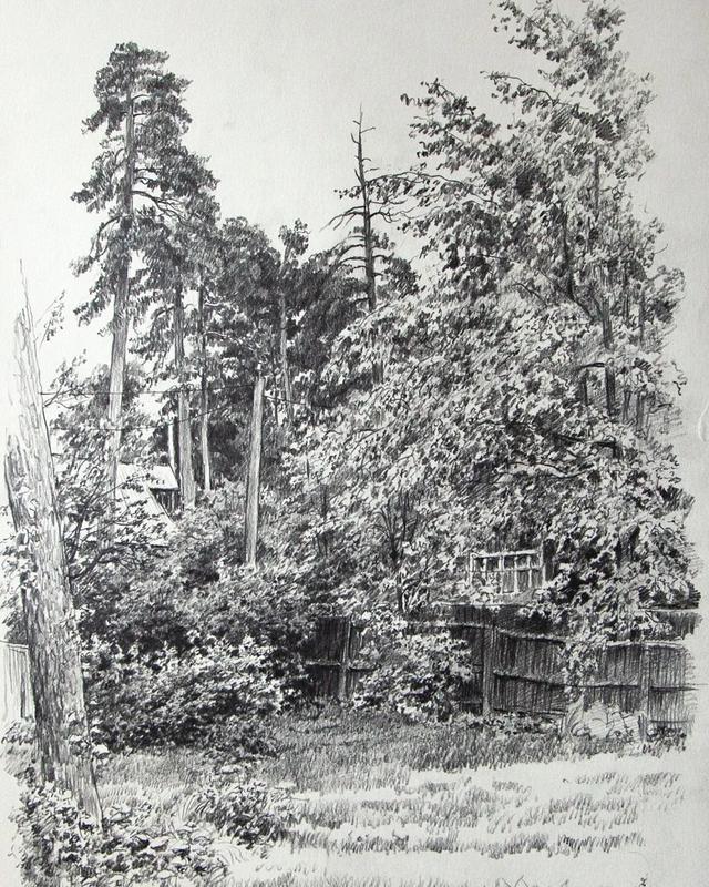 视觉中心|为什么树木总是这么难画？关键还是没有掌握疏密关系