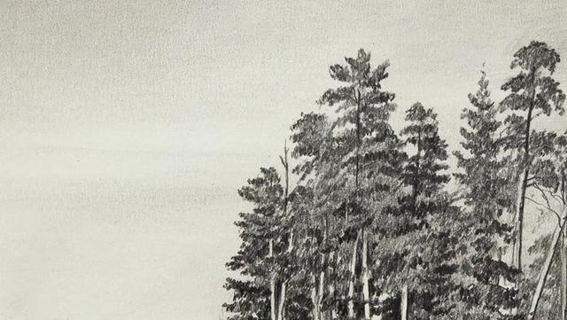 视觉中心|为什么树木总是这么难画？关键还是没有掌握疏密关系