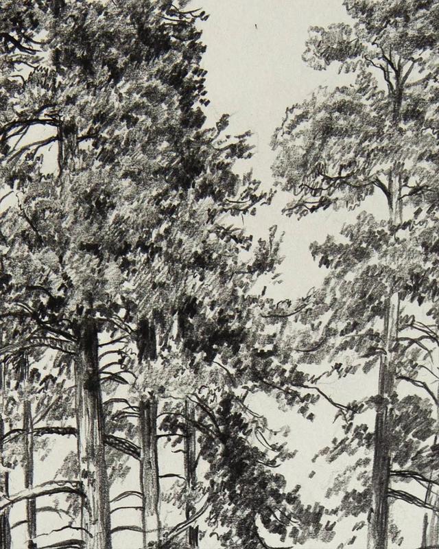 视觉中心|为什么树木总是这么难画？关键还是没有掌握疏密关系