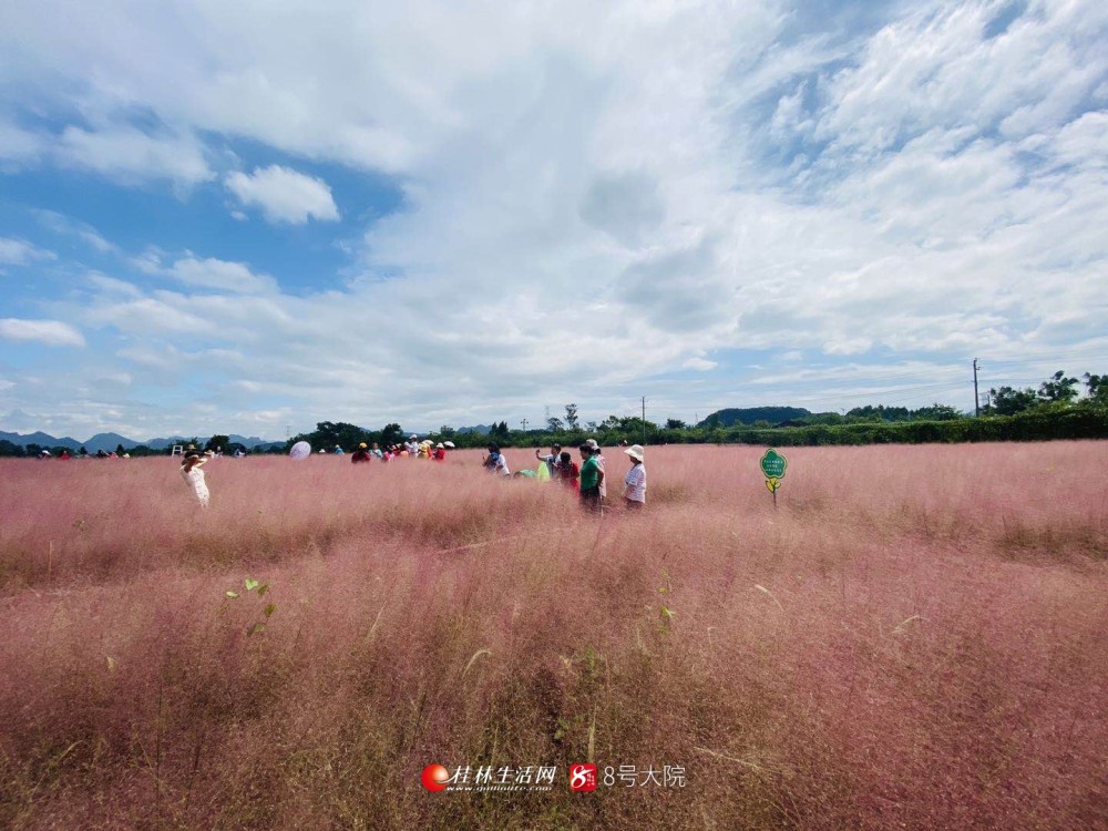 七星区乡村“网红”景点国庆假期受热捧！