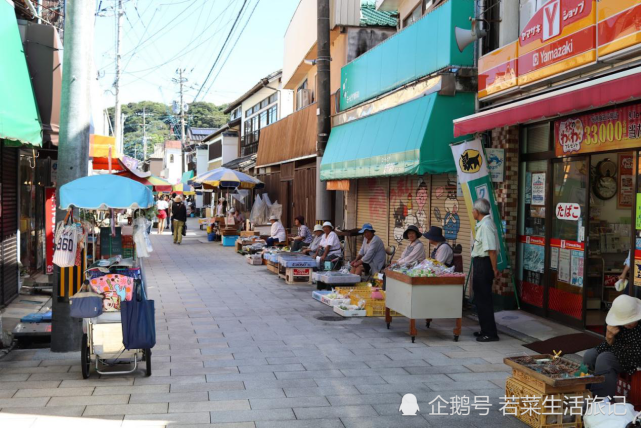 九州佐贺呼子朝市 好吃又好玩的小众景点 九州 佐贺县 子朝 唐津市 朝市