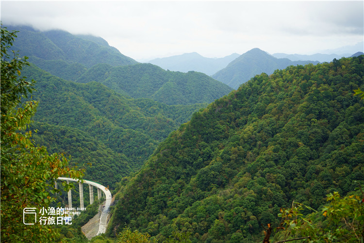 陕南秦岭自驾,这条赏秋秘境小环线,人少景美全免费,太过瘾!