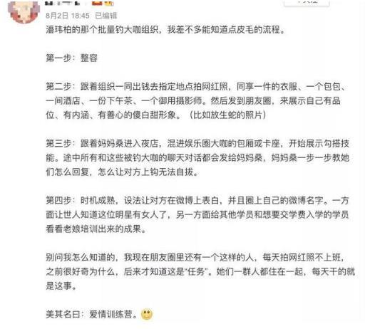 宣云|上海名媛群靠“拼”装精致连二手丝袜都拼单，与天王嫂培训营异曲同工