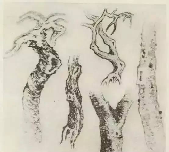 画法|缠枝、挺杆、屈节、钮裂、一棵树如何画？看了这篇你绝对能学会