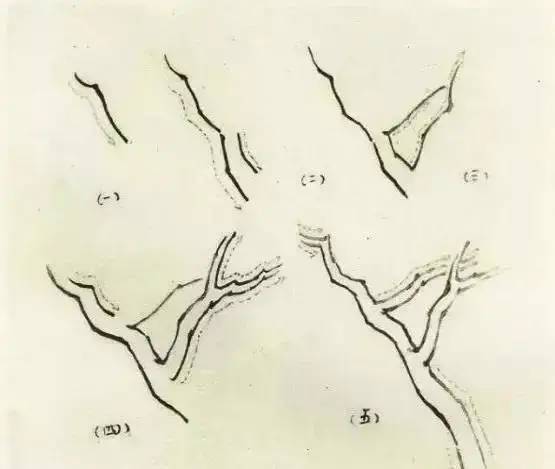 画法|缠枝、挺杆、屈节、钮裂、一棵树如何画？看了这篇你绝对能学会