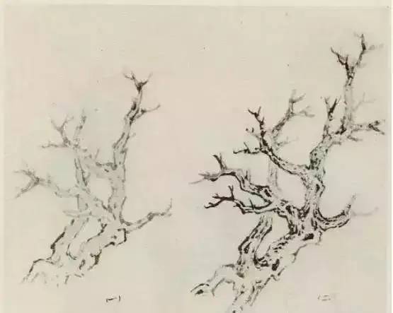 画法|缠枝、挺杆、屈节、钮裂、一棵树如何画？看了这篇你绝对能学会