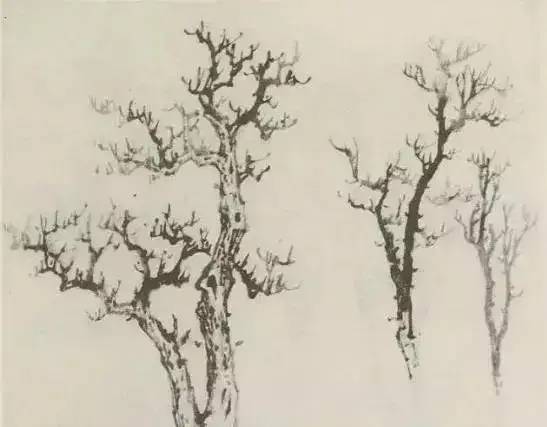 画法|缠枝、挺杆、屈节、钮裂、一棵树如何画？看了这篇你绝对能学会