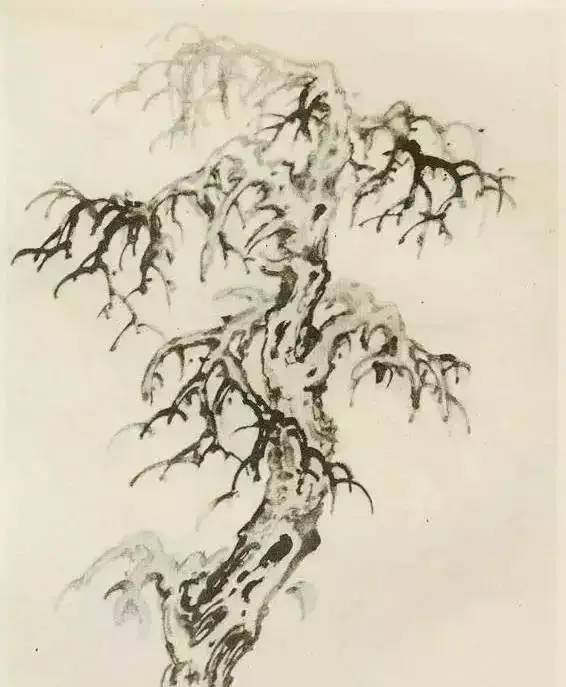 画法|缠枝、挺杆、屈节、钮裂、一棵树如何画？看了这篇你绝对能学会