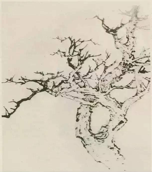 画法|缠枝、挺杆、屈节、钮裂、一棵树如何画？看了这篇你绝对能学会