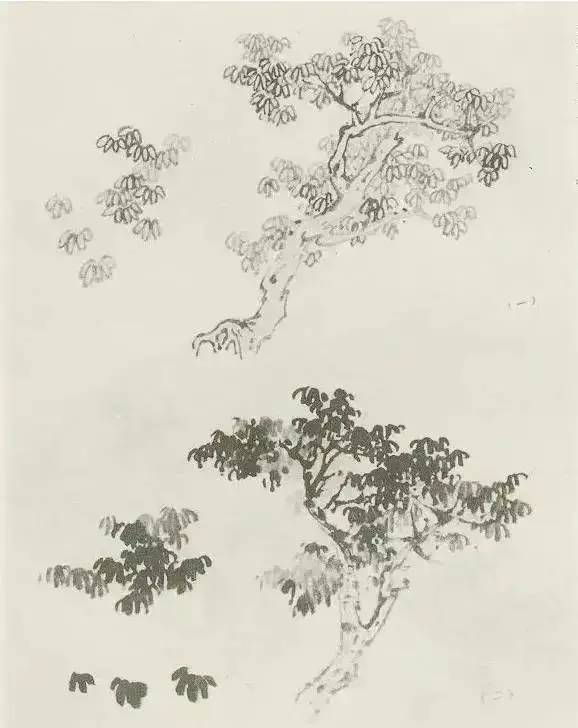 画法|缠枝、挺杆、屈节、钮裂、一棵树如何画？看了这篇你绝对能学会