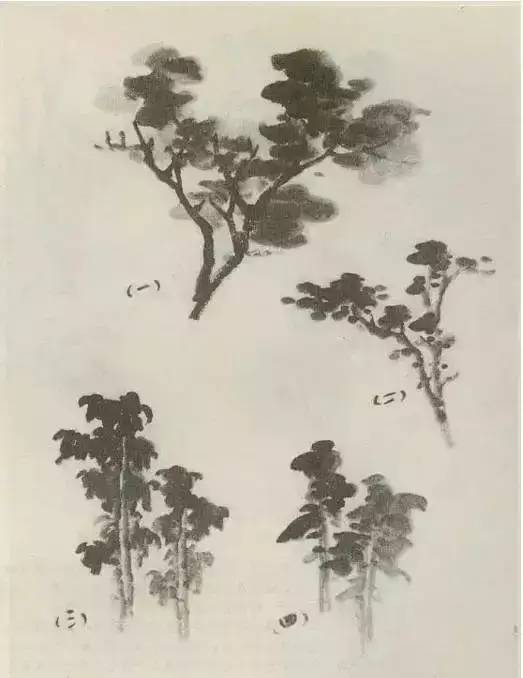 画法|缠枝、挺杆、屈节、钮裂、一棵树如何画？看了这篇你绝对能学会