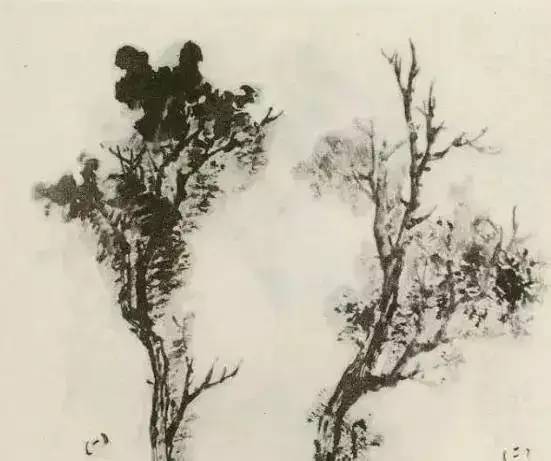 画法|缠枝、挺杆、屈节、钮裂、一棵树如何画？看了这篇你绝对能学会