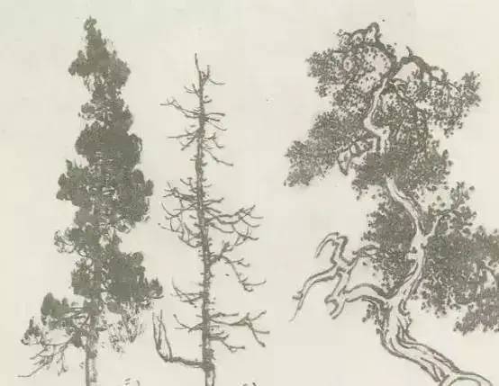 画法|缠枝、挺杆、屈节、钮裂、一棵树如何画？看了这篇你绝对能学会