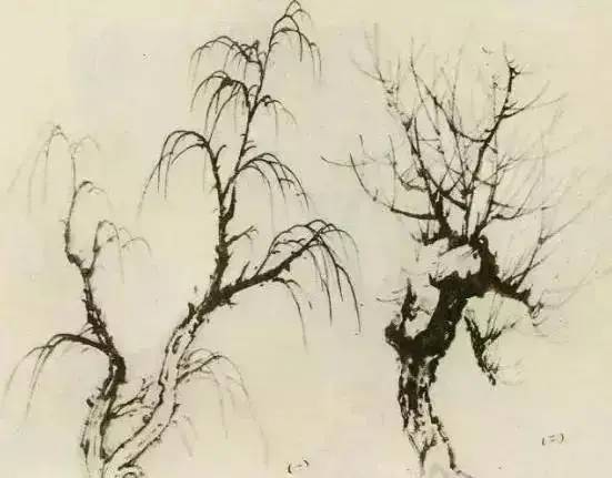 画法|缠枝、挺杆、屈节、钮裂、一棵树如何画？看了这篇你绝对能学会